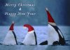 funny-whales-for-christmas-261.jpg