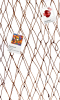 Fish Net.png