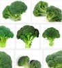 Broccoli.JPG