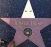trump kkk.jpg
