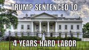 trump sentence.jpg