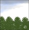 1745070484184.jpeg