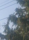 20250427_073238.jpg