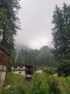 20250621_070751-min.jpg