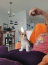 20250621_152438.jpg