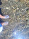 20250629_153618-min.jpg 20250629_153618-min.jpg