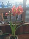 20260313_094029.jpg