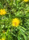 20260506_145801.jpg