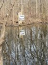 Mirror Lake.jpg