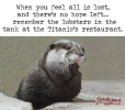 1792358959626.png 1792358959626.png