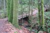 IMG_20191202_170231_460.jpg