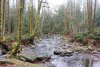 IMG_20191202_170231_448.jpg