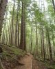 IMG_20200705_174300_566.jpg