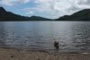 IMG_20200705_174641_437.jpg