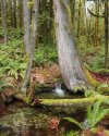 IMG_20201128_213522_331.jpg