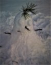 snow head 2020 fall.jpg