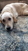 20201115_135340.jpg
